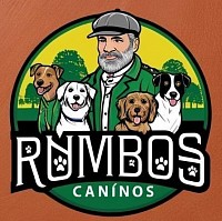 Perros cuidados